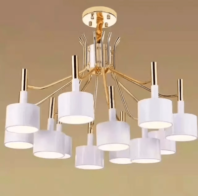 临沂灯具市场“女黑猫”传奇 探秘灯具销售江湖中的隐形守护者